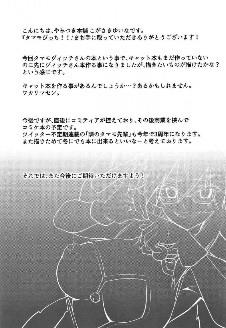 ผู้หญิงอันตราย-COMIC1☆15-Yamitsuki-Honpo-Wise-Speak-Tamamo-Bitch-Fate-Grand-Order-18