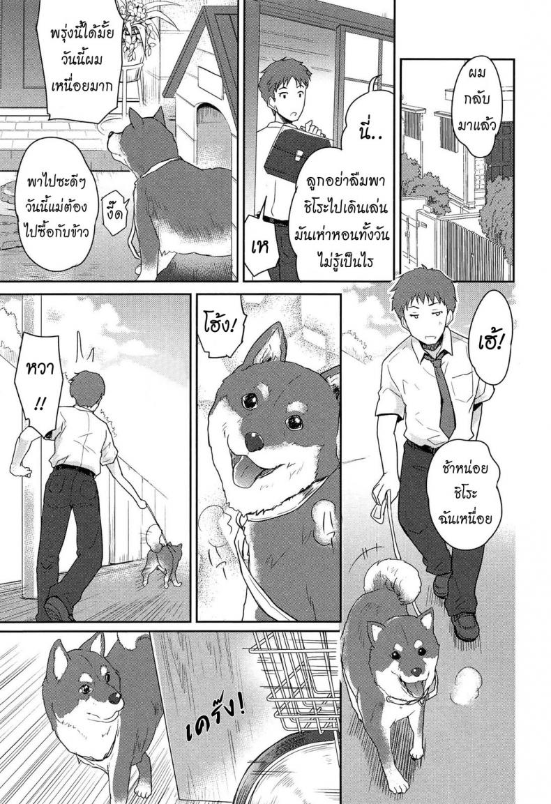 หมาน้อยของผม-1-Tohgarashi-Hideyu-Wonderful-Girl-3