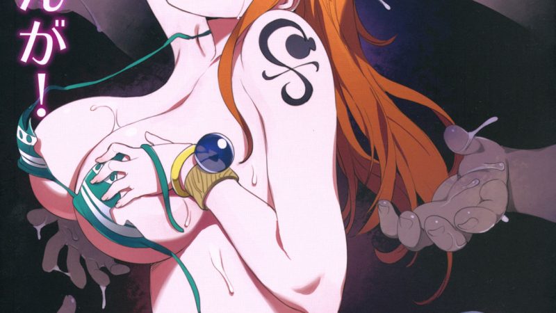 แผนการจับยัยแมวขโมยมารุมข่มขืน-One-Piece-1