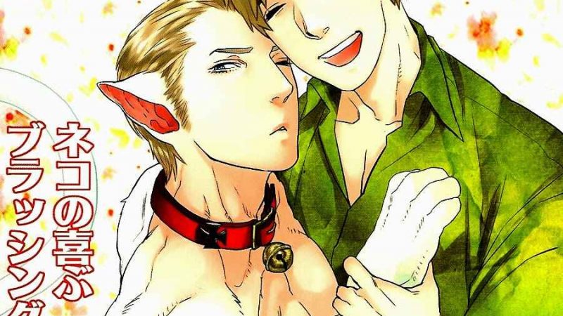 แมวน้อย-ร้อยลีลา-Hetalia-dj-The-Cats-Mood-1