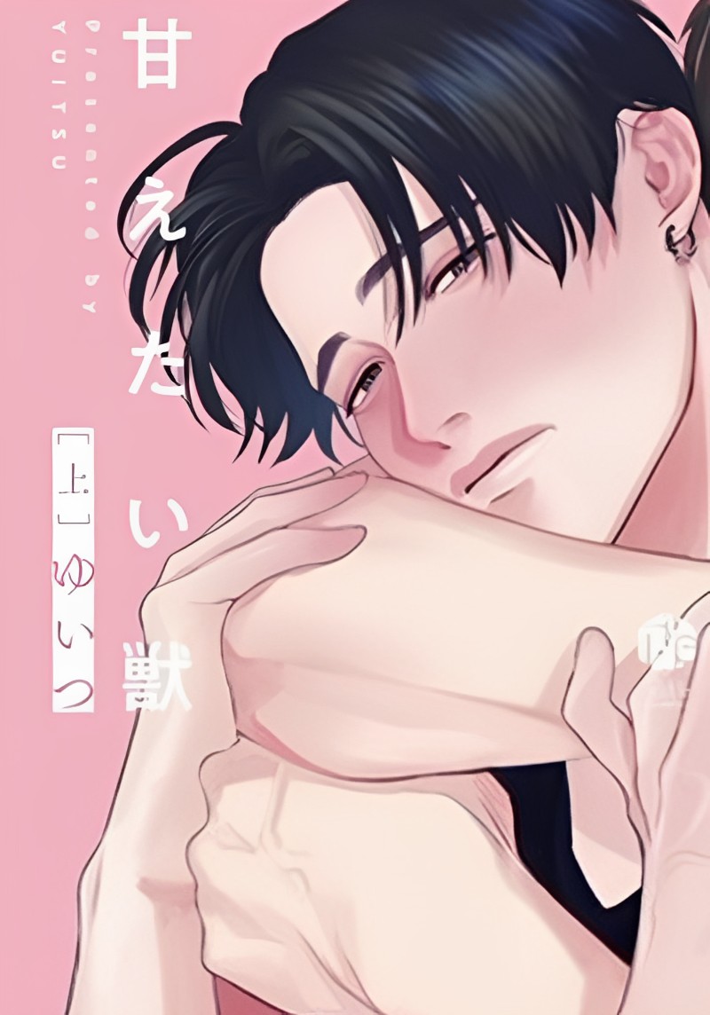 หน้าปก-พี่ใหญ่ให้เช่า