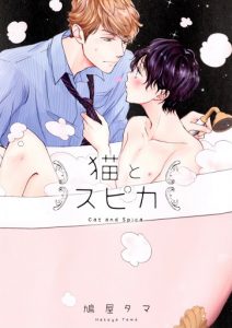 เจ้าเหมียวที่หลงมา 5 (จบ)