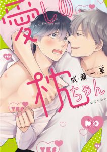 หมอนใบโปรดของผม 5 (จบ)