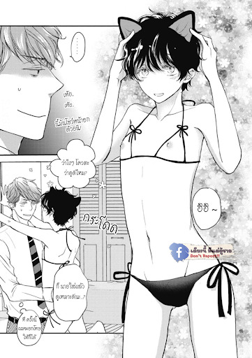 เจ้าเหมียวที่หลงมา-5-จบ-NEKO-TO-SPICA-CH.5-4