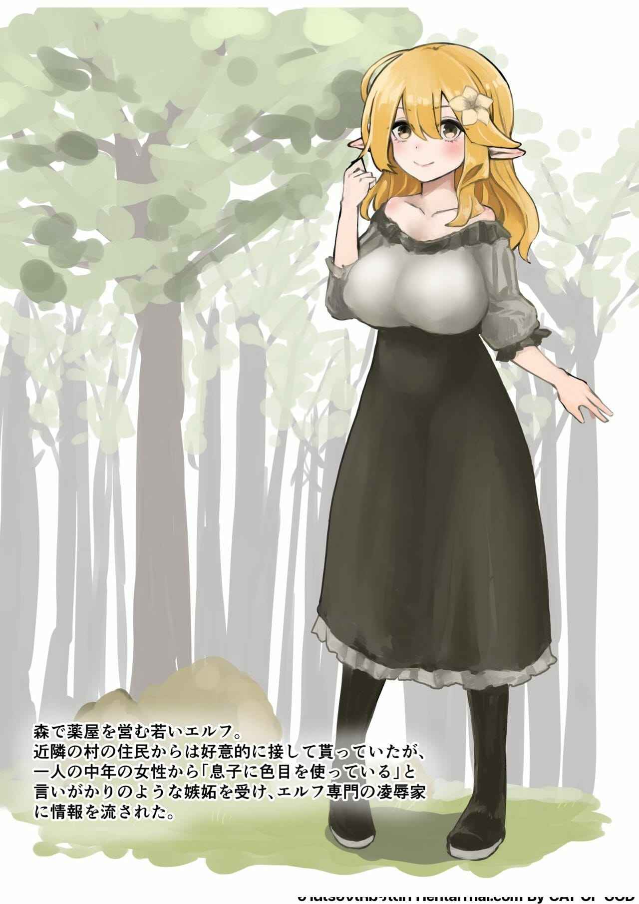 เอลฟ์สาวผู้น่าสงสาร-2-Beauty-Salon-B-S-BS3-Elf-o-Okasu-Hon-A-Book-About-Raping-an-Elf-2-11