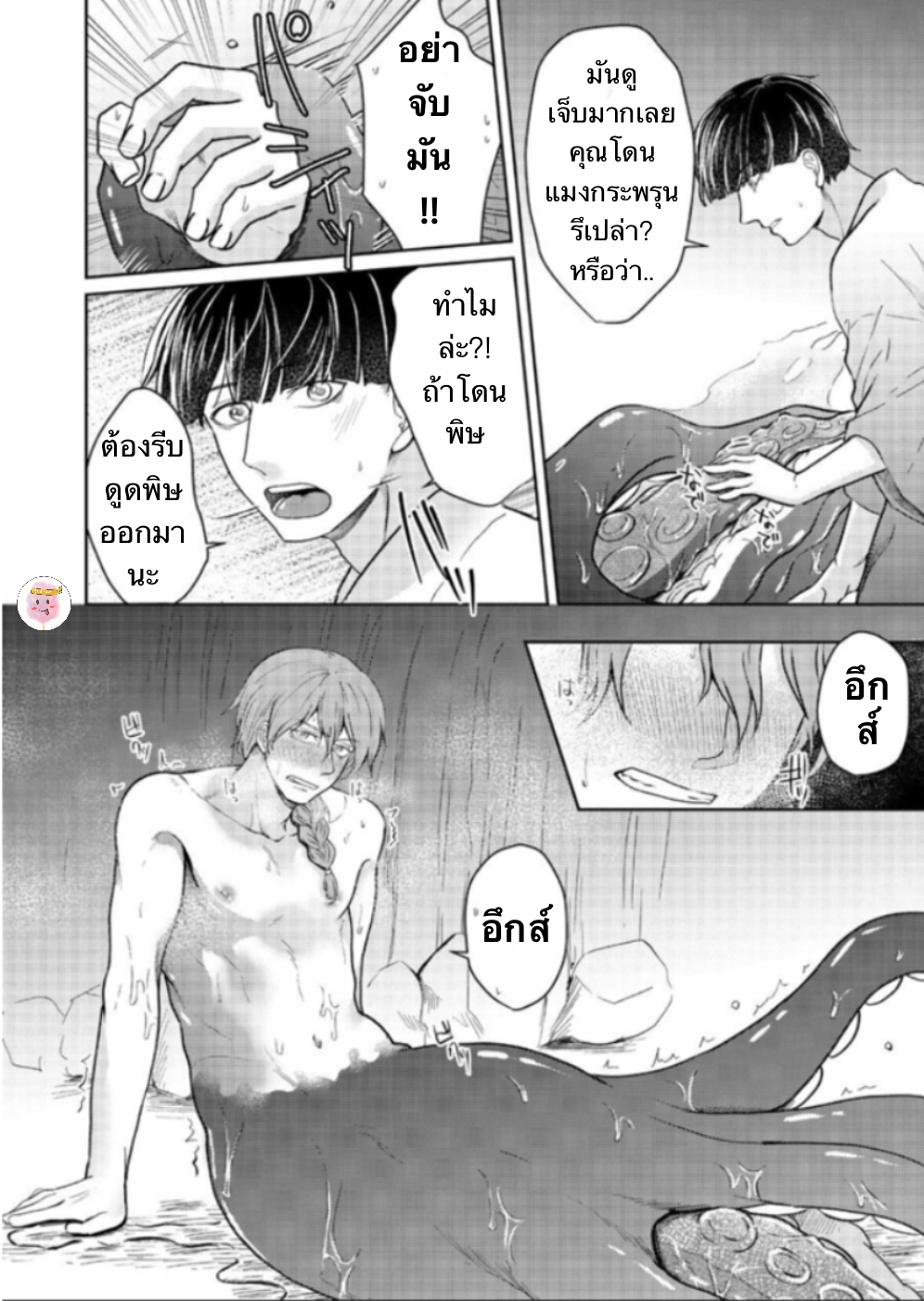 ปะการังสีแดง-TOKO-TO-MESU-IKI-AKASANGO-16