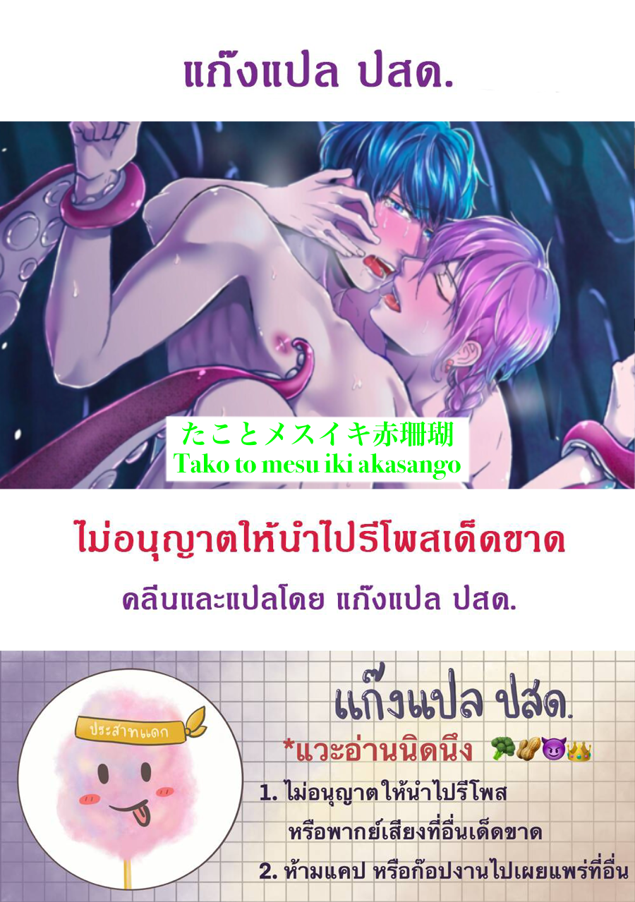 ปะการังสีแดง-TOKO-TO-MESU-IKI-AKASANGO-2