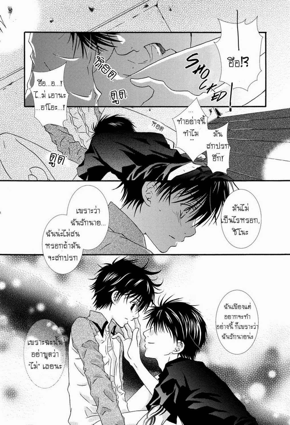 ผีเสื้อที่ไร้เรี่ยวแรง-Private-Garden-Hakkenden-DJ-Memoiro-Kinema-TH-13