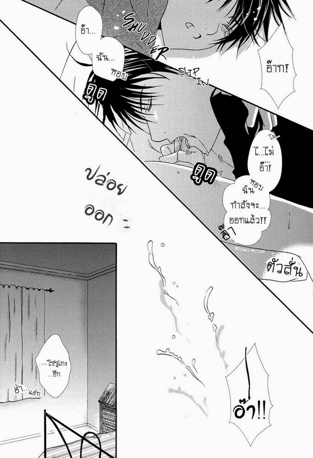 ผีเสื้อที่ไร้เรี่ยวแรง-Private-Garden-Hakkenden-DJ-Memoiro-Kinema-TH-14