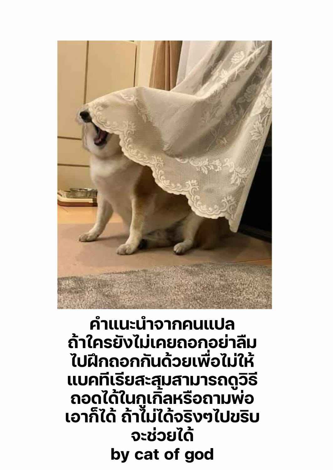 หมู่บ้านมิซุซาว่า-Aihara-You-Kasshoku-Shounen-23