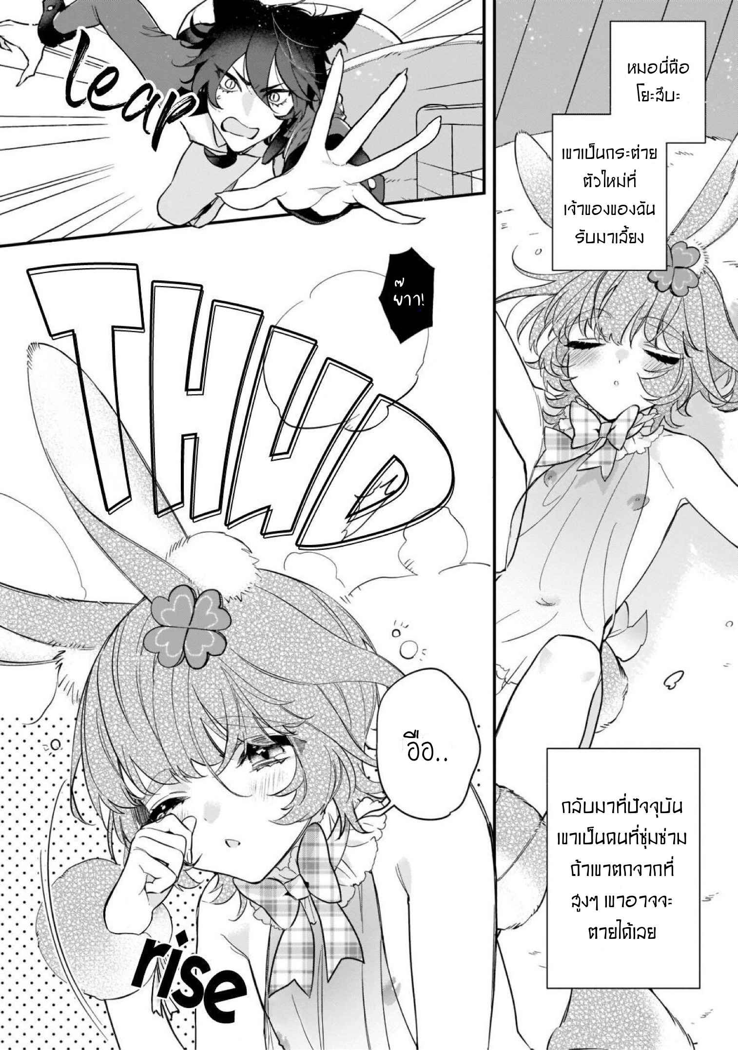 เจ้ากระต่ายตัวใหม่-Neko-hame-usagi-chan-wa-gaman-shinai-TH-5