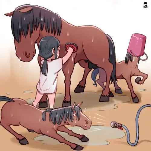 เรื่องราวฉันกับม้า-Mr.Takealook-Life-With-Horse-2-15