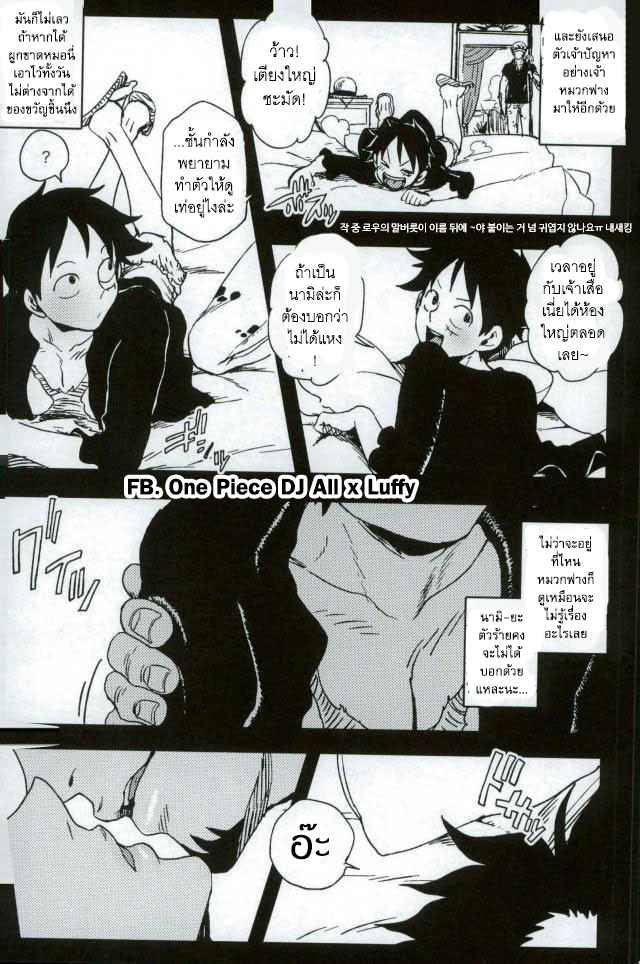 สองเสือชอบแกล้ง-One-Piece-DJ-5