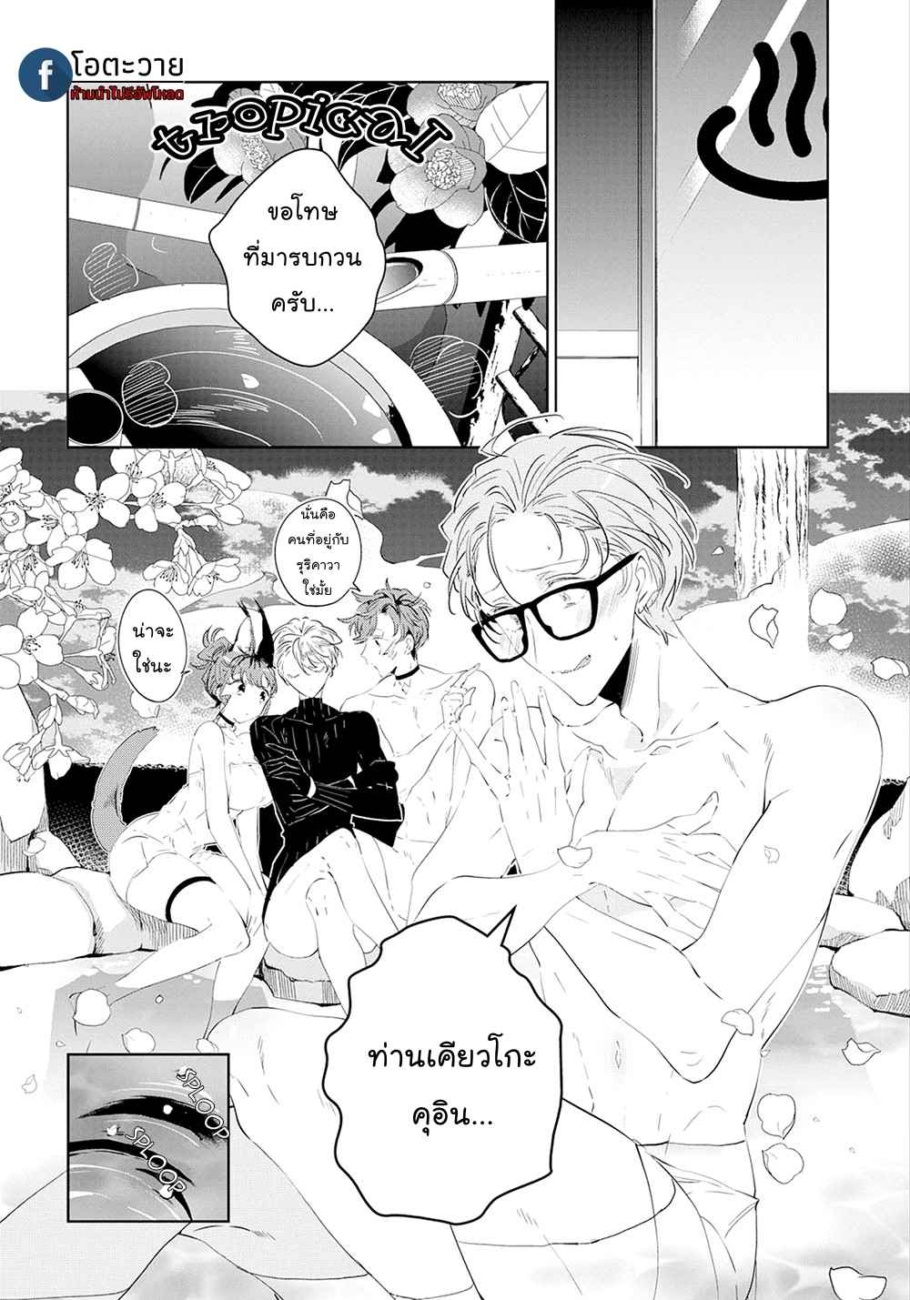 สายพันธุ์ที่หายาก-4-CASTEHATE-CH.4-12
