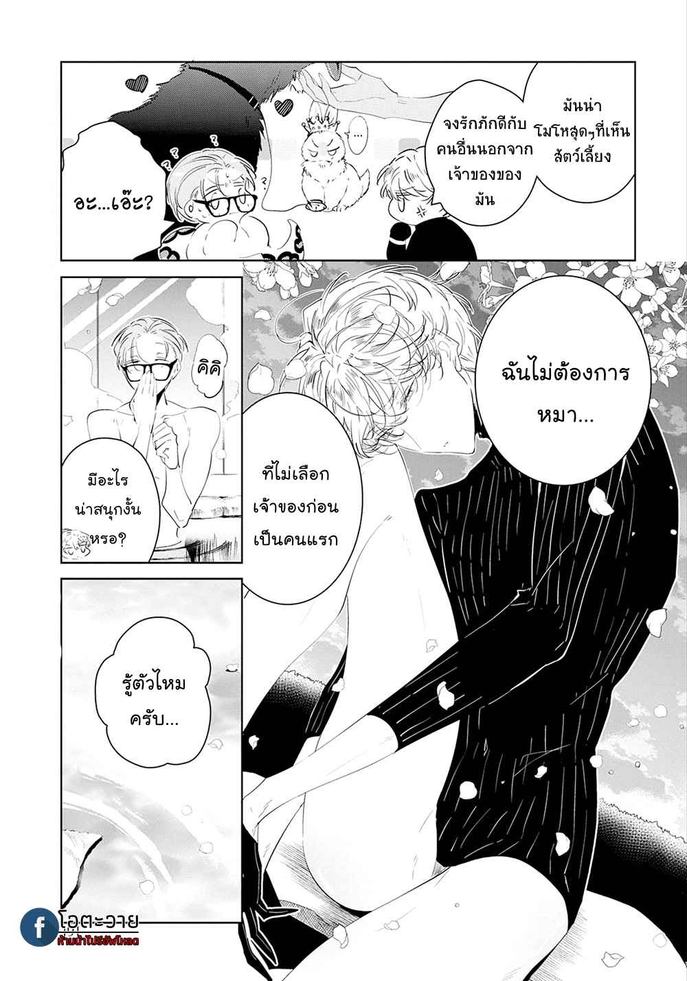 สายพันธุ์ที่หายาก-4-CASTEHATE-CH.4-15