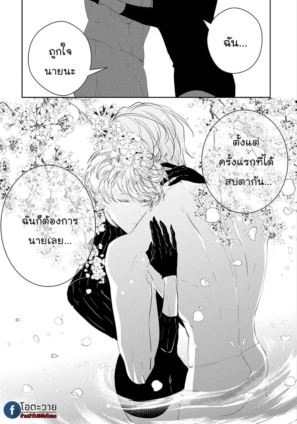 สายพันธุ์ที่หายาก-4-CASTEHATE-CH.4-22