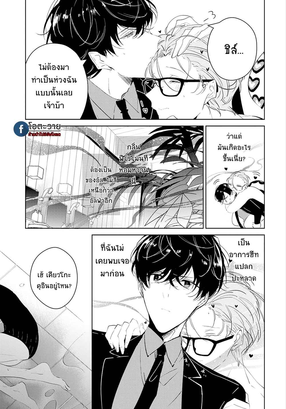 สายพันธุ์ที่หายาก-4-CASTEHATE-CH.4-27