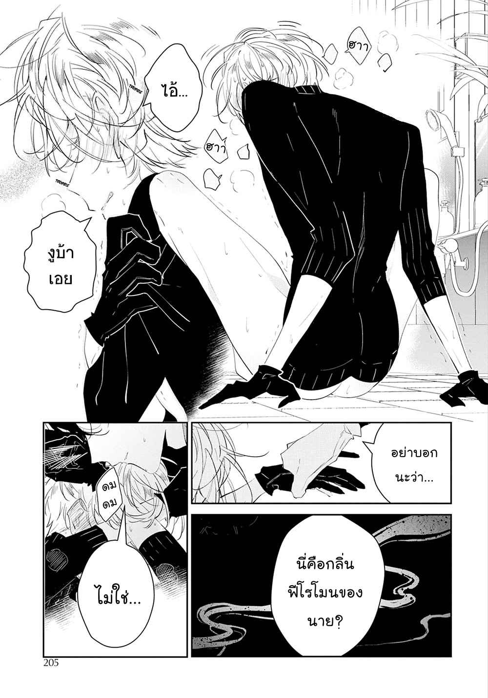 สายพันธุ์ที่หายาก-4-CASTEHATE-CH.4-29