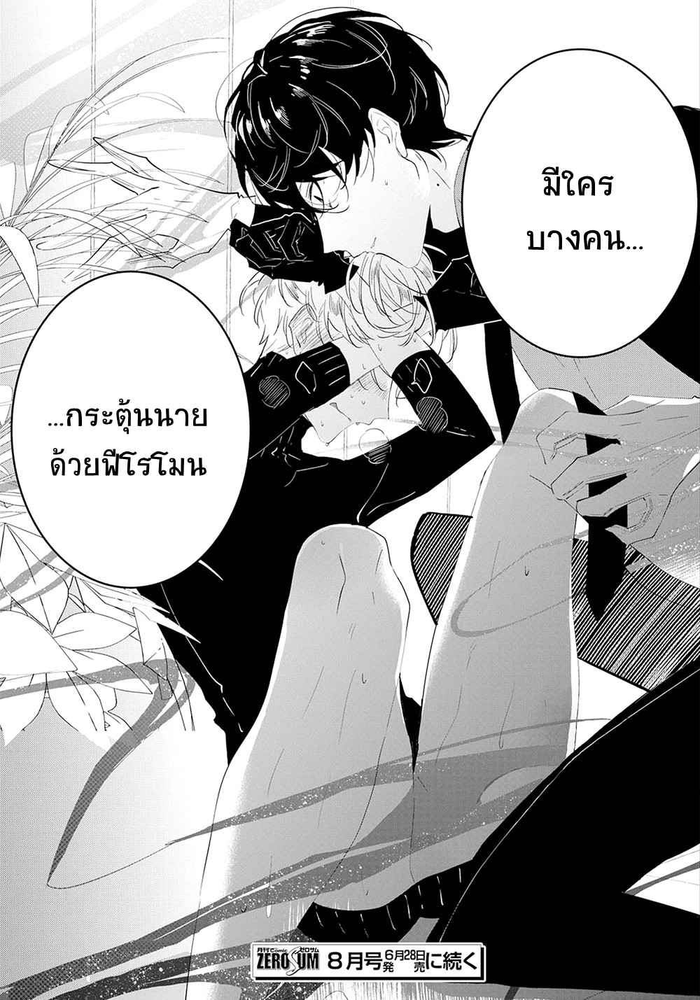 สายพันธุ์ที่หายาก-4-CASTEHATE-CH.4-30