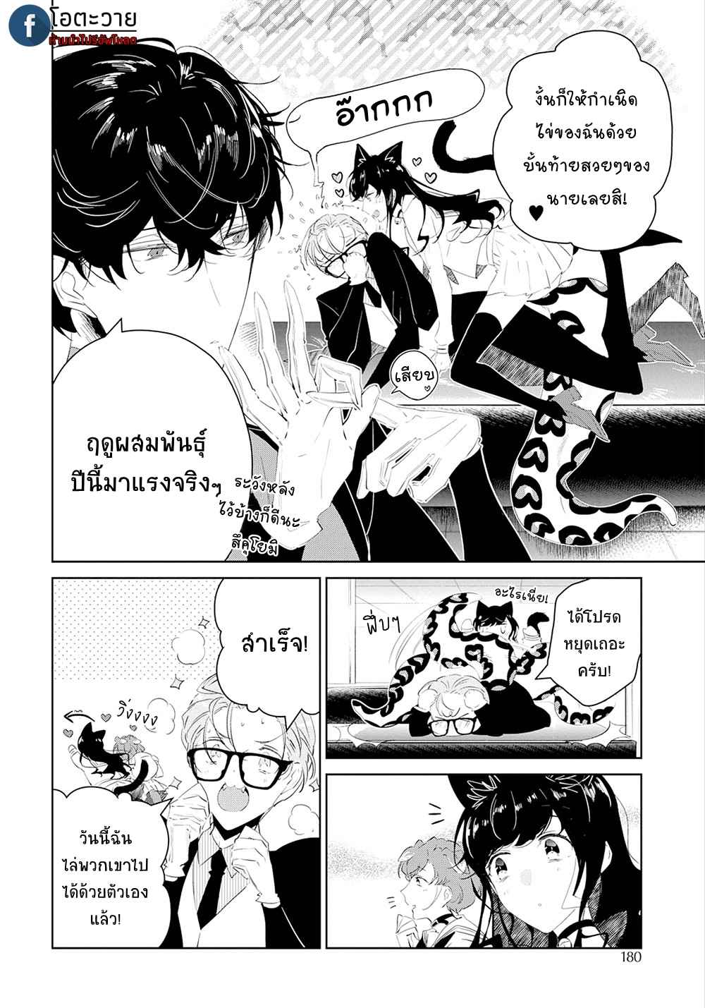 สายพันธุ์ที่หายาก-4-CASTEHATE-CH.4-4