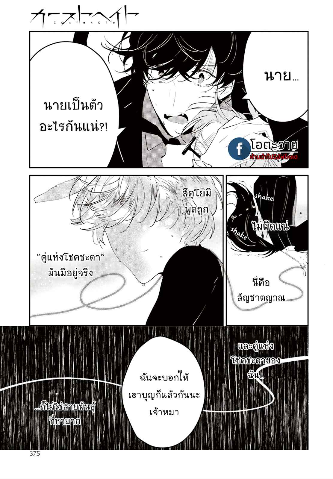 สายพันธุ์ที่หายาก-4.5-CASTEHATE-CH.4.5-11