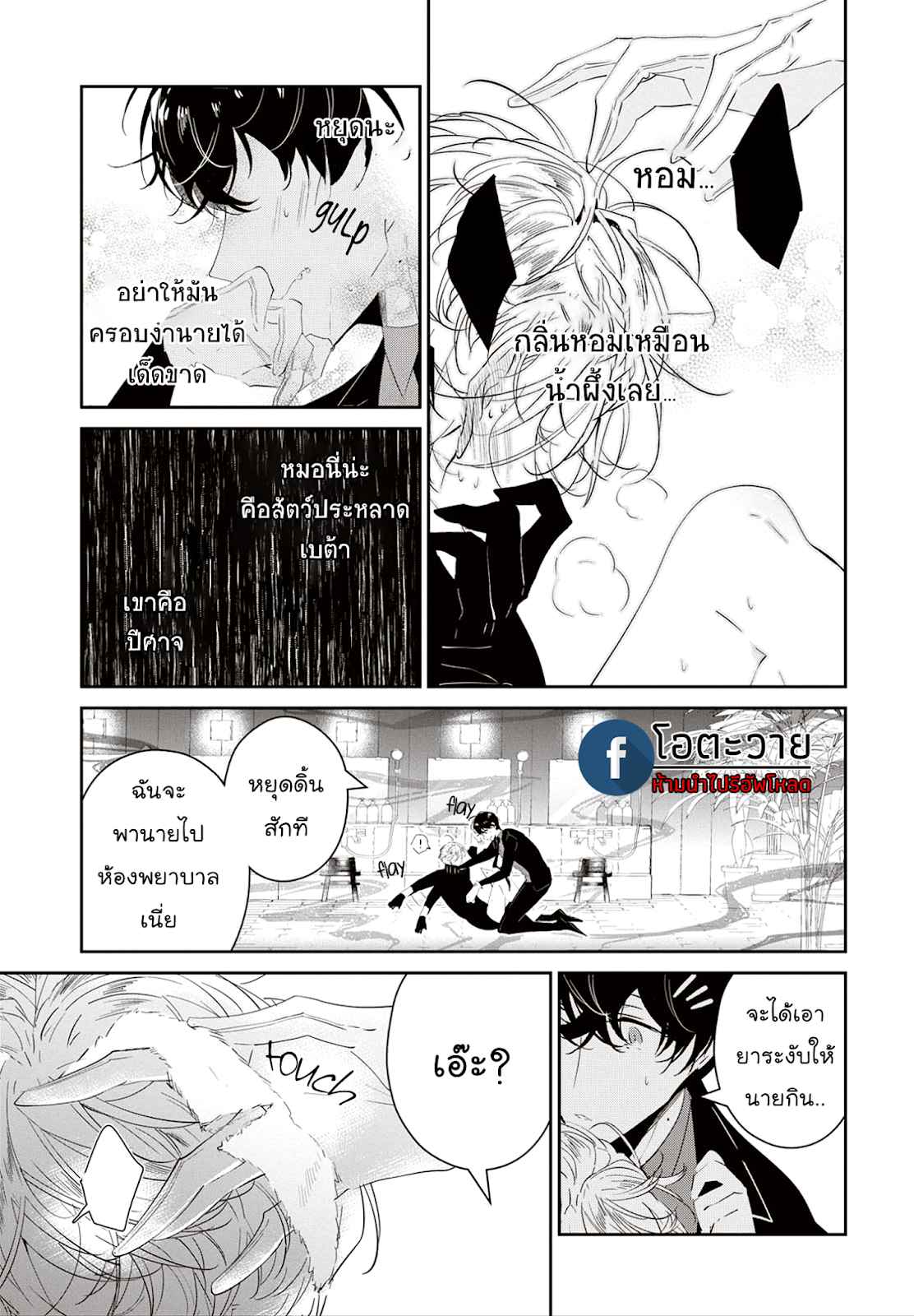 สายพันธุ์ที่หายาก-4.5-CASTEHATE-CH.4.5-3