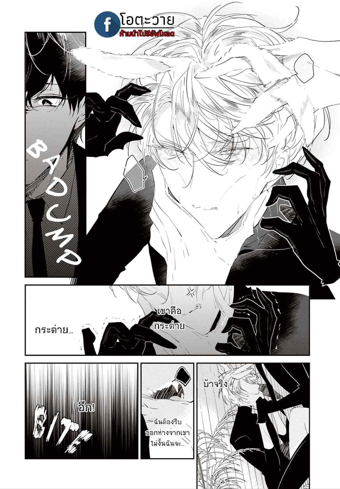 สายพันธุ์ที่หายาก-4.5-CASTEHATE-CH.4.5-4