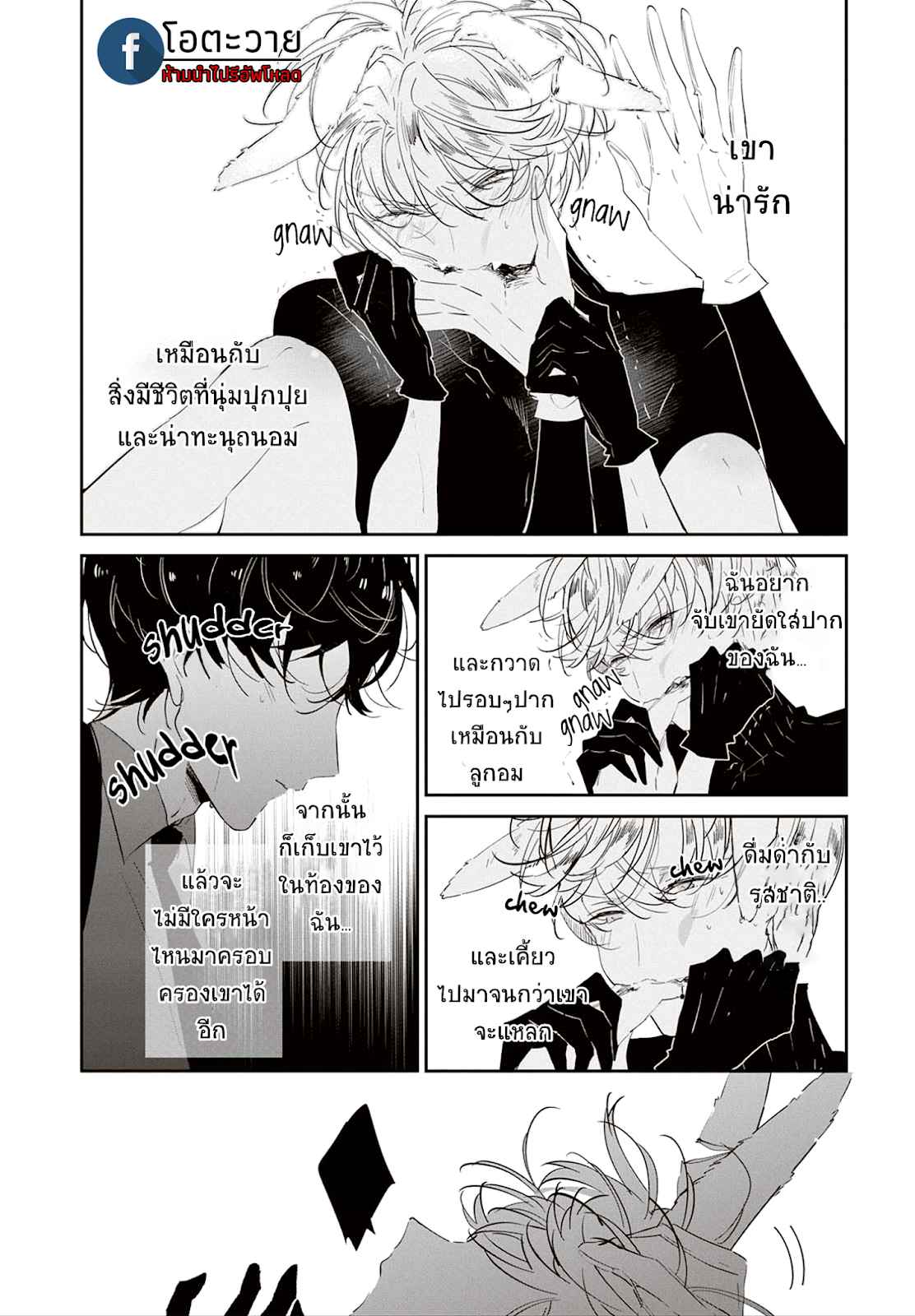 สายพันธุ์ที่หายาก-4.5-CASTEHATE-CH.4.5-5