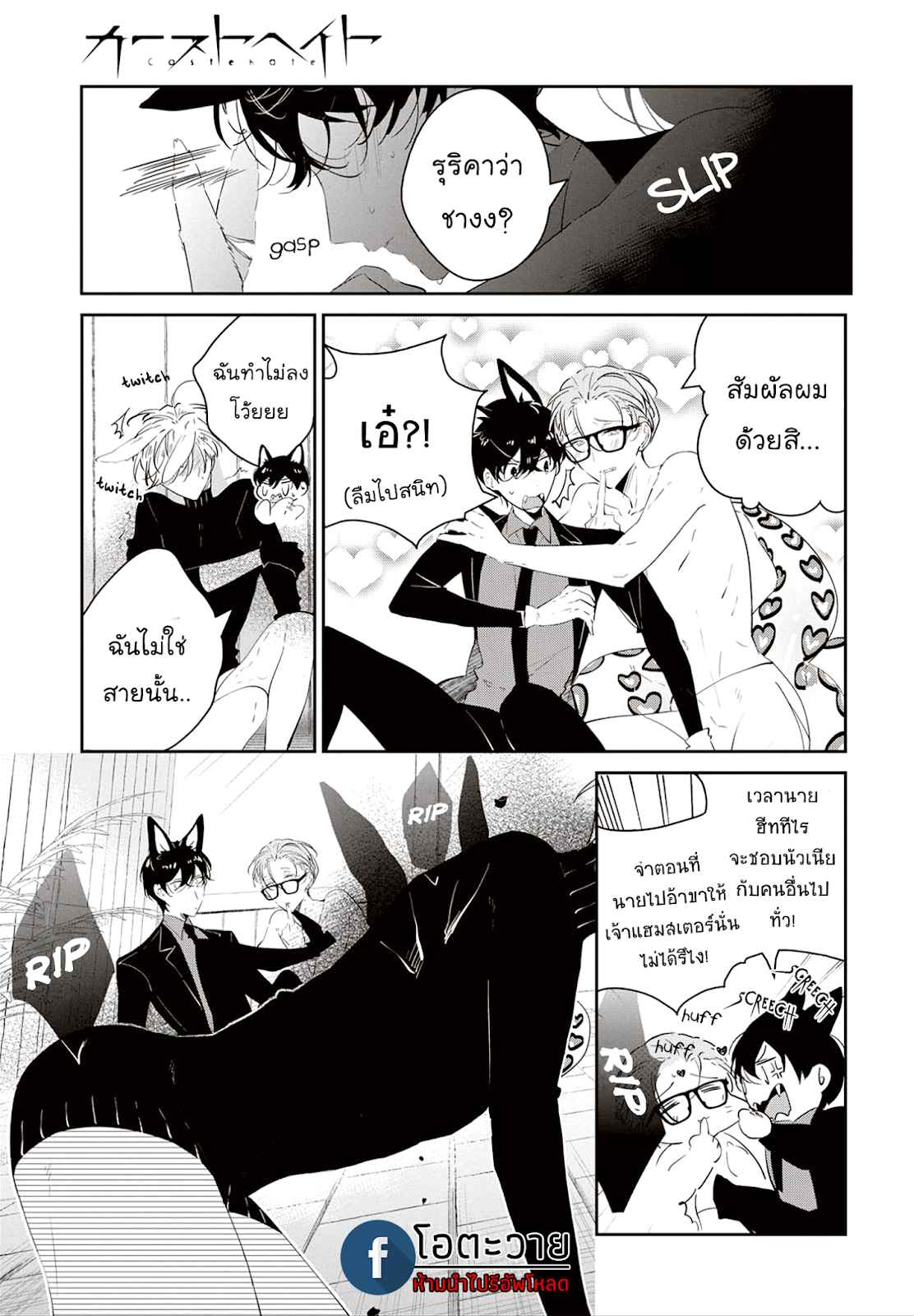 สายพันธุ์ที่หายาก-4.5-CASTEHATE-CH.4.5-7