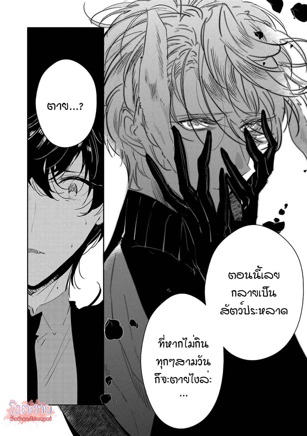 สายพันธุ์ที่หายาก-6-CASTEHATE-CH.6-11