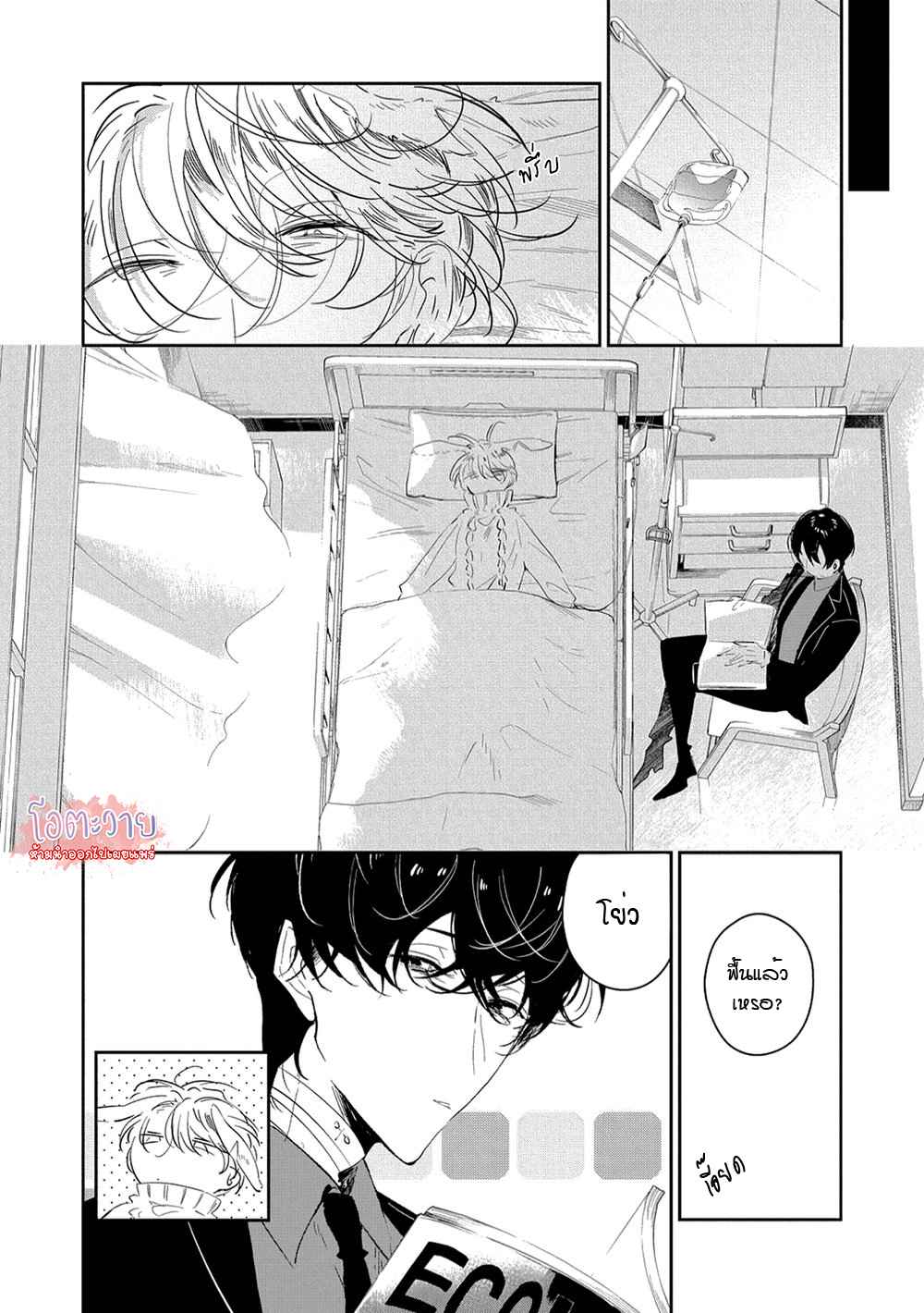 สายพันธุ์ที่หายาก-6-CASTEHATE-CH.6-17