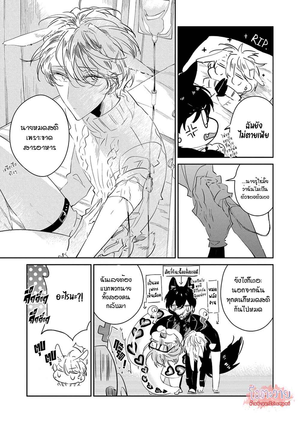 สายพันธุ์ที่หายาก-6-CASTEHATE-CH.6-18