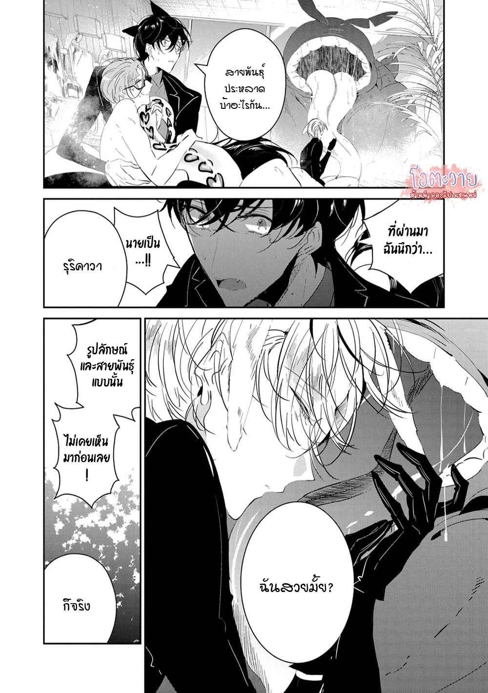 สายพันธุ์ที่หายาก-6-CASTEHATE-CH.6-6