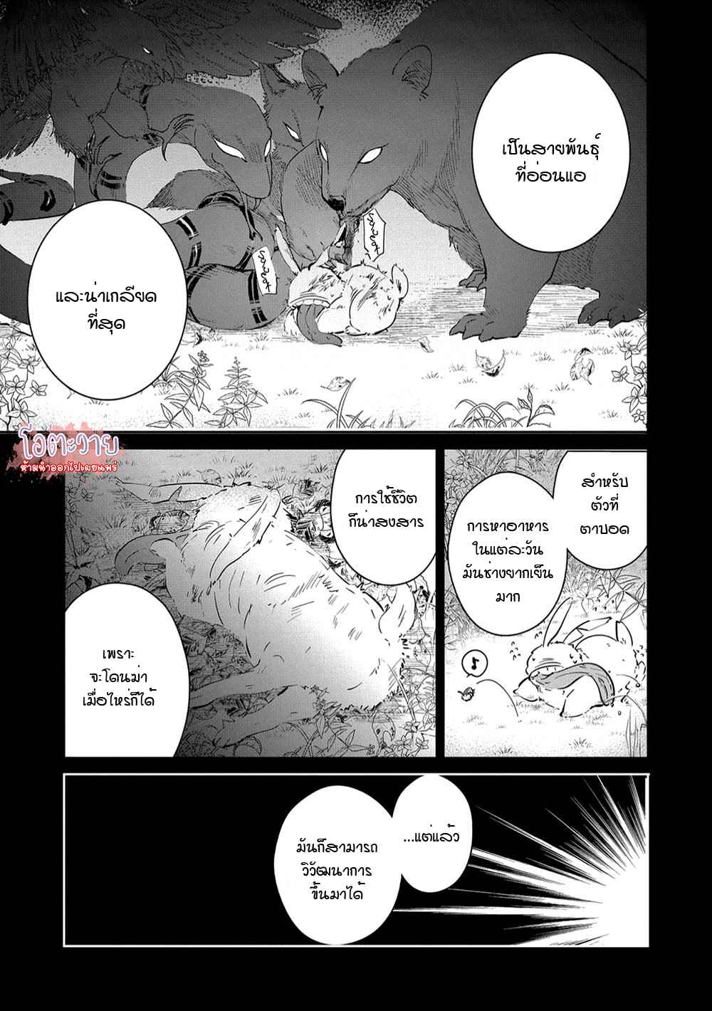 สายพันธุ์ที่หายาก-6-CASTEHATE-CH.6-8