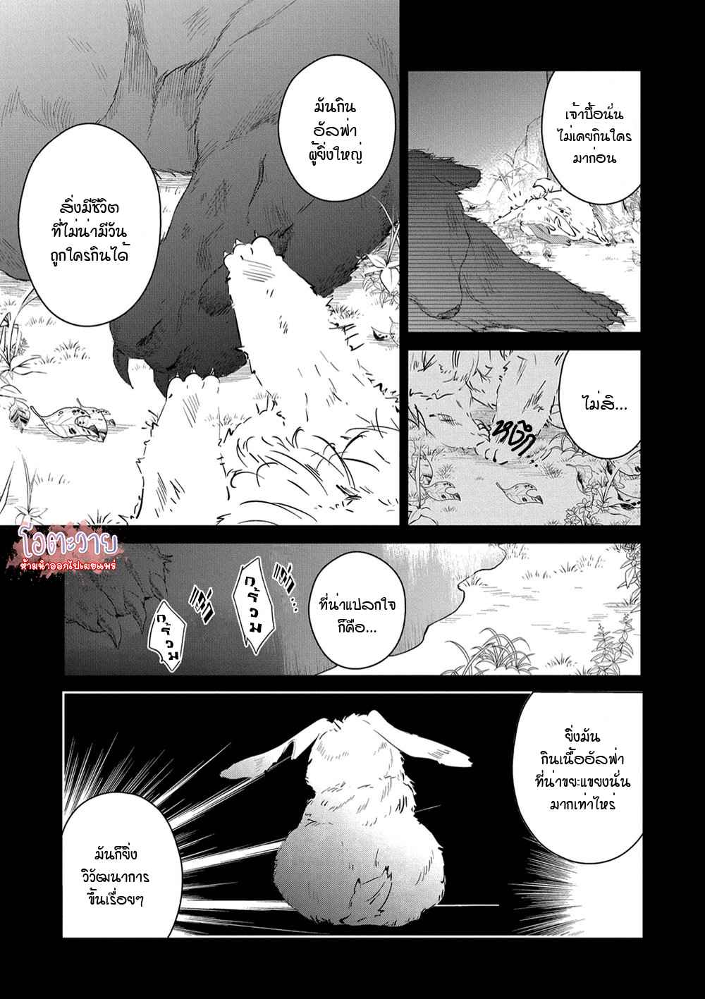 สายพันธุ์ที่หายาก-6-CASTEHATE-CH.6-9