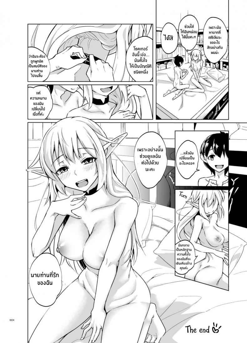 สาวเอลฟ์ต้องการรัก-SlapStickStrike-Stealth-Changing-Line-23