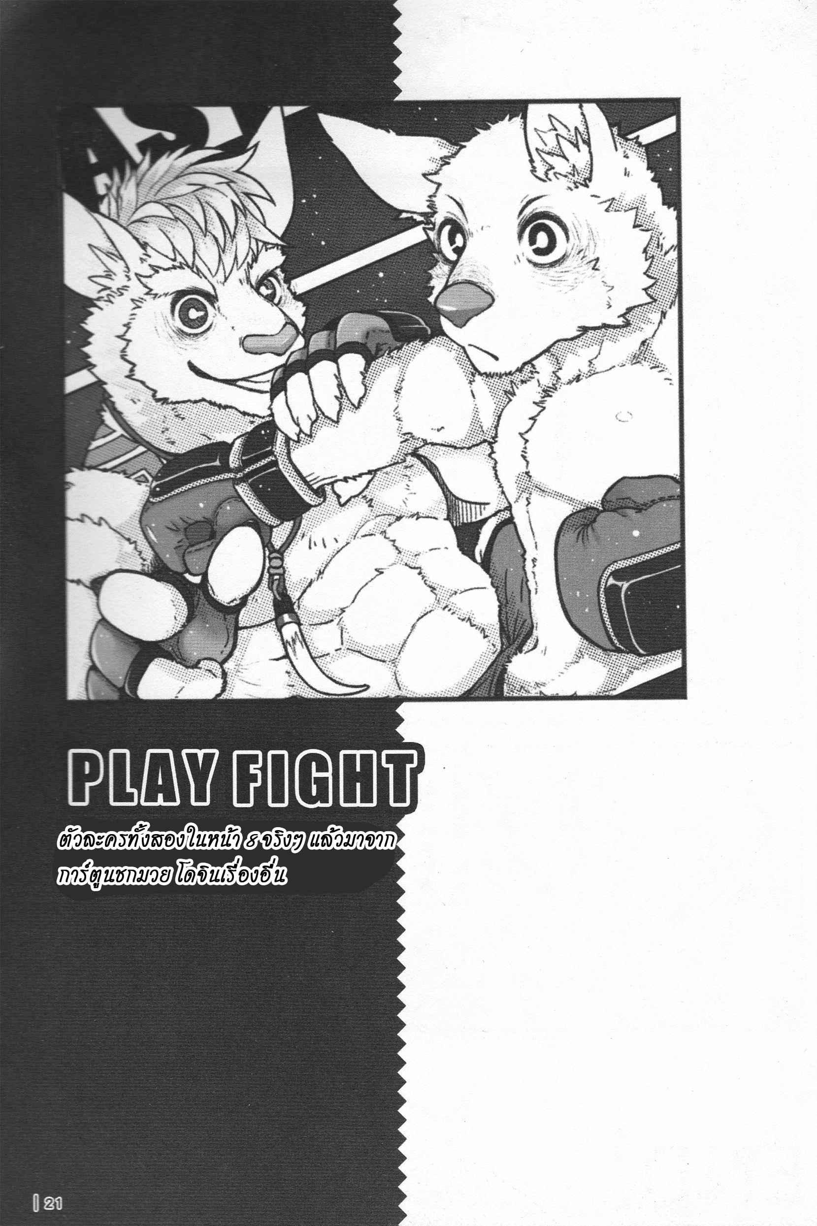 สู้กันแบบชายแท้-FF29-KUMAK.COM-KUMAK-PLAY-FIGHT-20