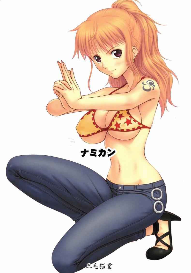 เซ็กส์ที่ดีที่สุด (C87) [Mikenekodou] NAMIKAN (One Piece)17