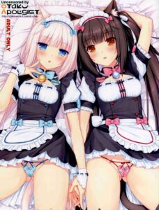 นายต้องชอบอย่างแน่นอน (C84) [NEKO WORK] Neko Para 1