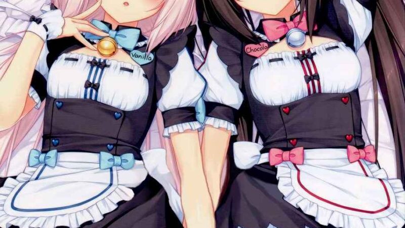 นายต้องชอบอย่างแน่นอน (C84) [NEKO WORK] Neko Para 1