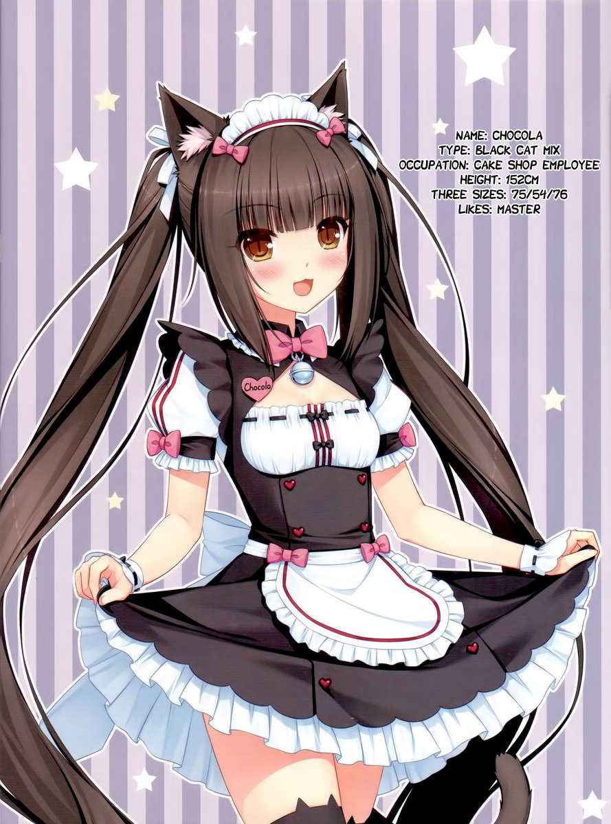 นายต้องชอบอย่างแน่นอน (C84) [NEKO WORK] Neko Para 2